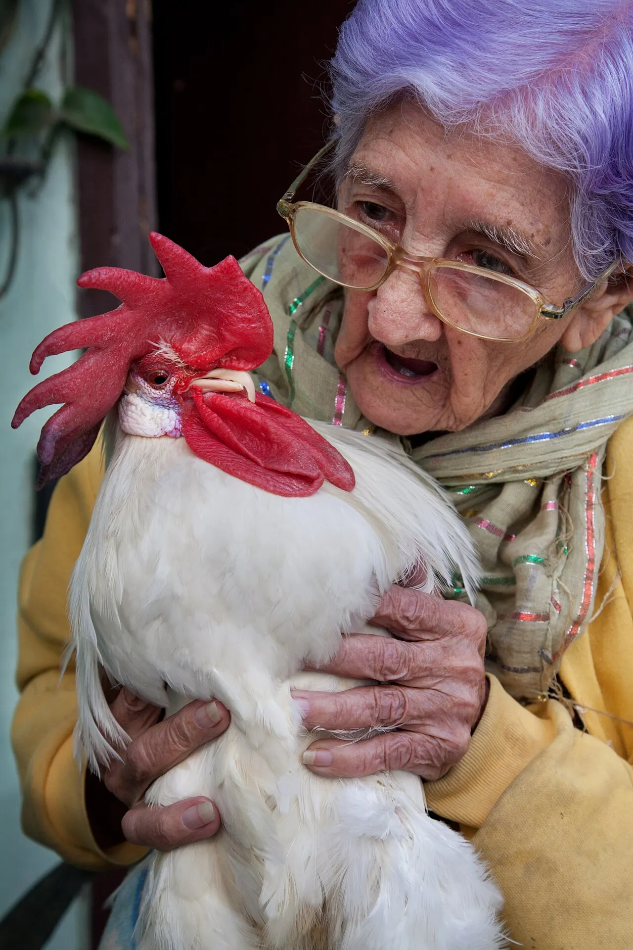 Foto de la publicación de Lucía Romero